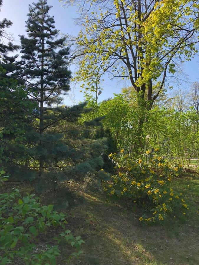 Vila Bohema Palanga - 4 Apartamentu Vila Kestucio G. 11 Hotel Buitenkant foto